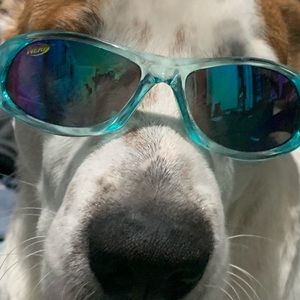 Meet your Posher, Cierra